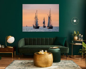 Sailing ships on the Hanse Sail