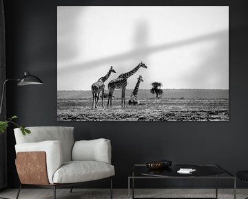 Giraffes on the savannah by Maaike van Schie