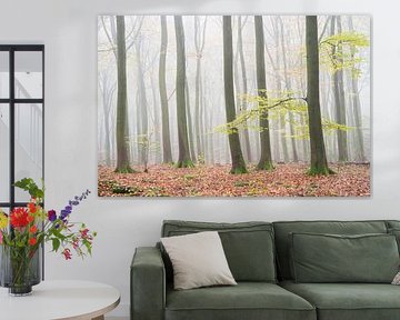 Autumn shadows ( dark tree trunks with autumn leaves in the mist) by Birgitte Bergman