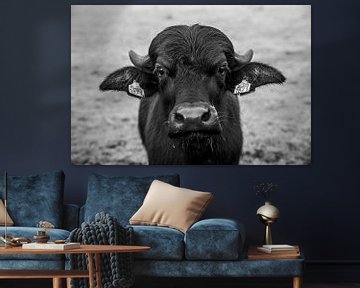 Intense Zwart-wit Portret van een Stier buffel van Femke Ketelaar