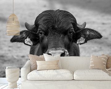Intense Zwart-wit Portret van een Stier buffel van Femke Ketelaar