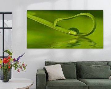 Groen van Violetta Honkisz