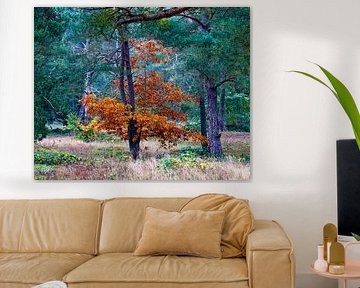 Arbre d'automne orange et lumineux sur Flatfield