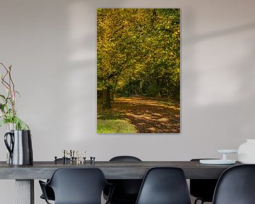 Bospad in herfsttooi met olieverfeffect van Flatfield