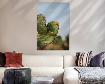 Kaktus mit goldenem Versprechen von Thirza Wijnja