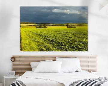 La Toscane du Nord L'Allemagne sous le soleil sur Frank Briske