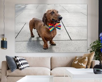 CSD hond 2 | Teckel met regenboogstrikje in Frankfurt van Flatfield