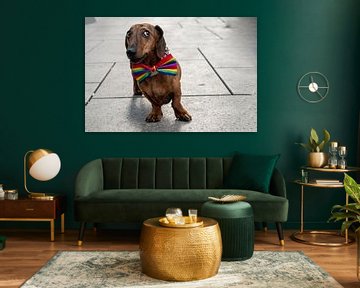 CSD hond 3 | Teckel met regenboogstrikje in Frankfurt van Flatfield
