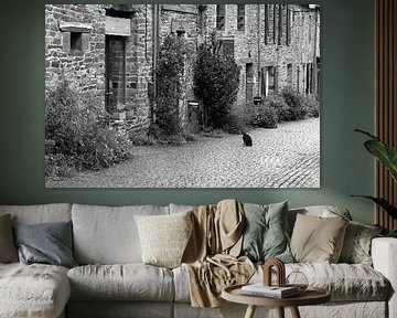 Straatkat in Gacilly / Bretagne van Flatfield