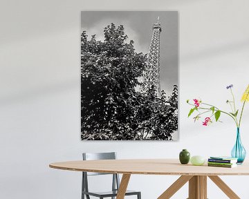 Eiffeltoren achter gebladerte van Sergio Pazzano