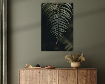 Fern in the mystical Hoh Rain Forest | moody photo art print by Elise van Gils