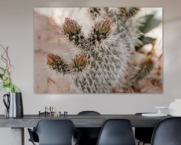 Stekelige cactus in zachte pastel kleuren | foto print van Elise van Gils