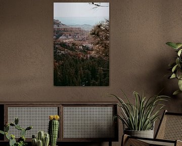 Bryce canyon door de bomen | reisfotografie art print van Elise van Gils