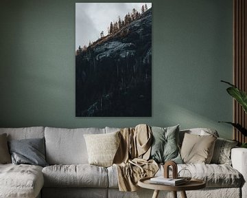 Bomen op berg in Yosemite National Park | fine-art print van Elise van Gils