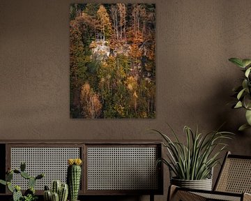 Holzhütte in herbstlicher Atmosphäre von Erik Lei