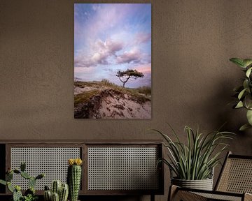 Der kleine Baum von Terschelling von Erik Lei