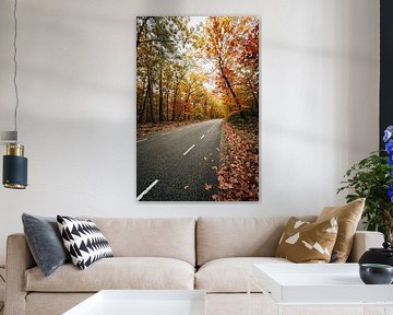 Couleurs d'automne le long de la route