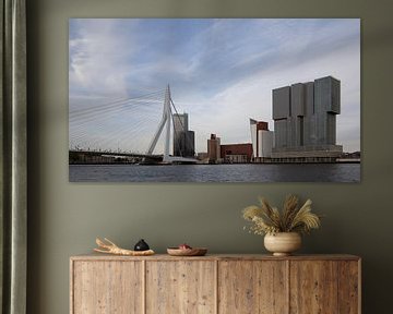 Rotterdam van bart vialle