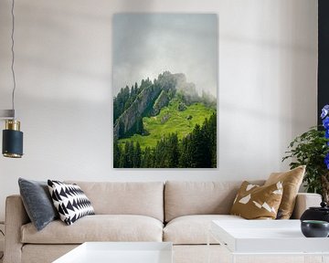 Steineberg of the Nagelfluhkette in summer with low clouds by Leo Schindzielorz