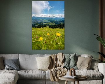 Flowery view of the Oberallgäu and the low-lying clouds by Leo Schindzielorz