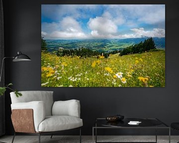 Flowery view of the Oberallgäu and the low-lying clouds by Leo Schindzielorz