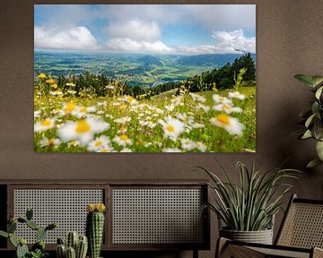 Flowery view of the Oberallgäu and the low-lying clouds by Leo Schindzielorz