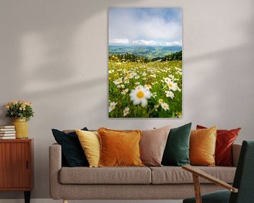 Flowery view of the Oberallgäu and the low-lying clouds by Leo Schindzielorz
