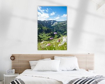 Flowery view of the Nebelhorn and the Allgäu Alps
