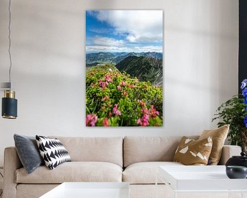 Alpine roses in the Allgäu Alps by Leo Schindzielorz