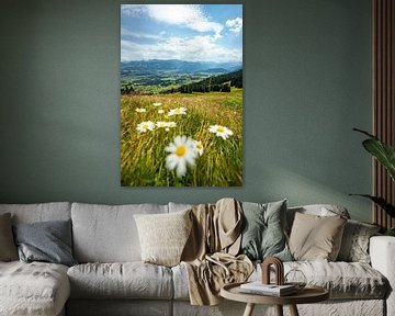 Bloemrijk uitzicht op de Oberallgäu en de Allgäuer Alpen vanaf de Ofterschwanger Horn van Leo Schindzielorz