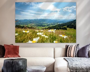Bloemrijk uitzicht op de Oberallgäu en de Allgäuer Alpen vanaf de Ofterschwanger Horn van Leo Schindzielorz
