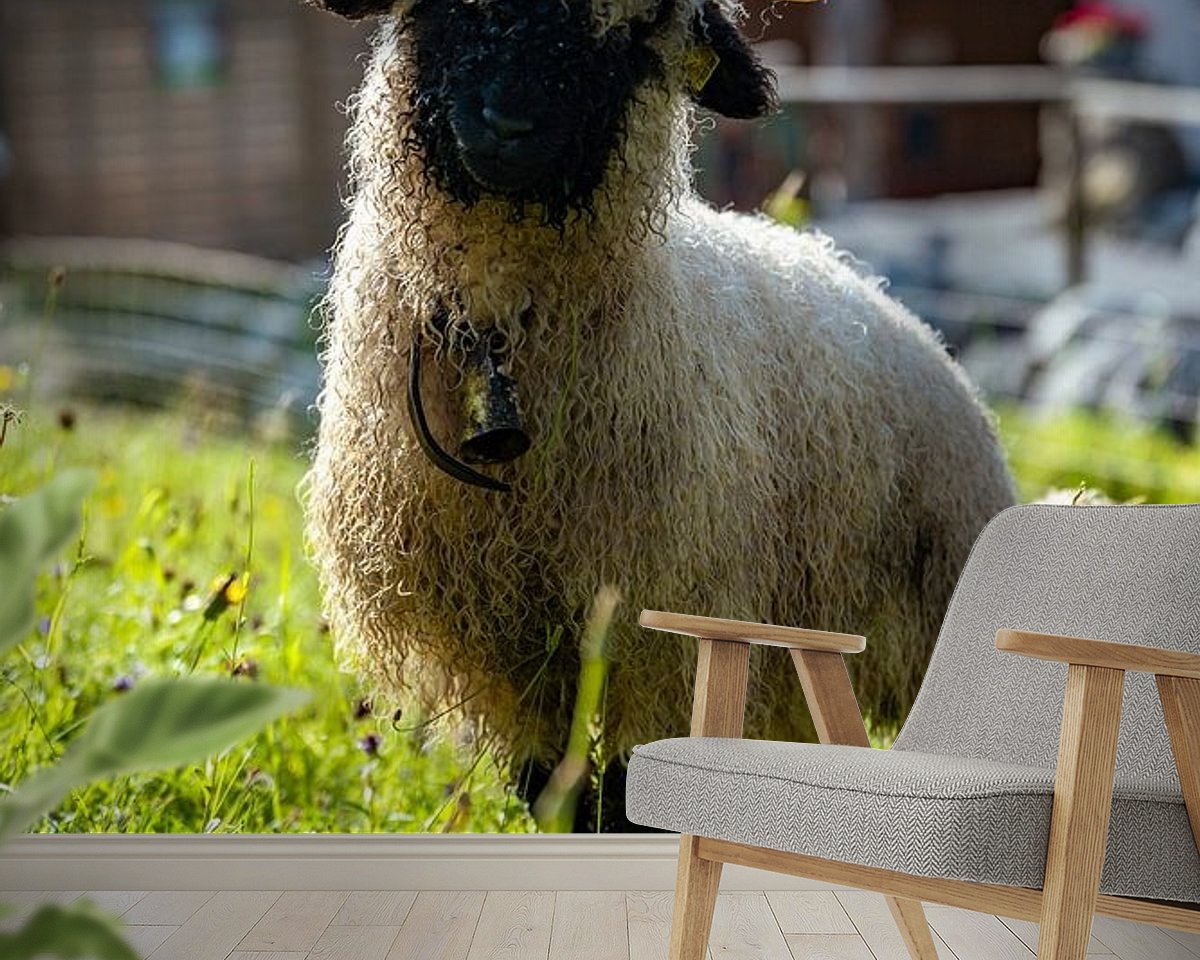 Raumvorschau