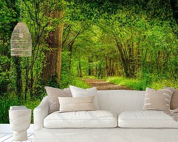 footpath through the woods by Rietje Bulthuis