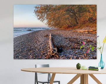 Am Strand Sassnitz auf der Insel Rügen in Deutschland Piratenschlucht im Herbst von Animaflora PicsStock