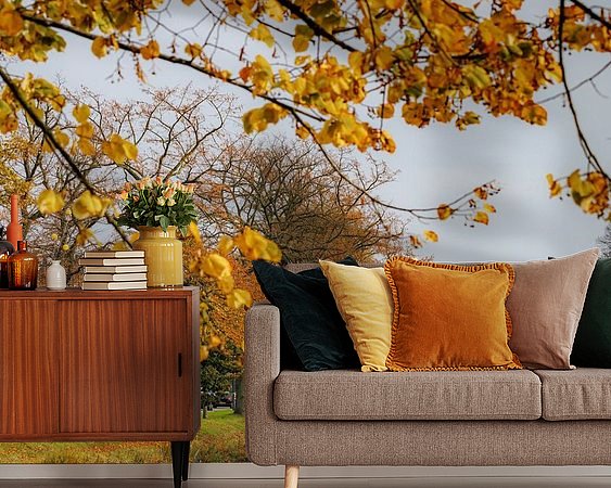 Raumvorschau