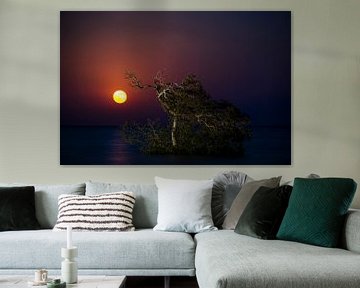 Maan opkomst Egypte, moonrise Egypt van Corrine Ponsen