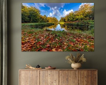 L'automne sous son meilleur jour sur Yanuschka | Fotografie Noordwijk