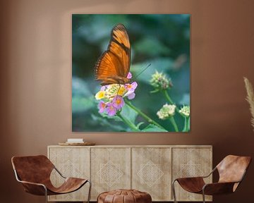 Brauner Schmetterling auf Blüte van Flatfield
