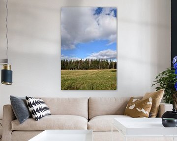 A field in autumn by Claude Laprise