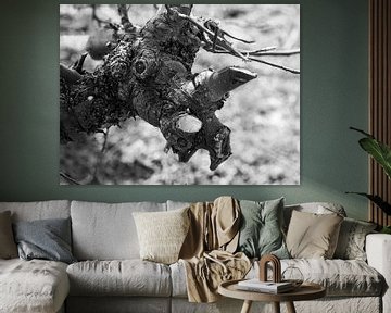 Dryade / natuurlijk gezicht "Veelpuntige neushoornboom" van Flatfield