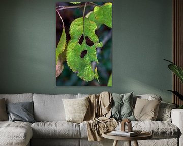 Dryade / Natuur gezicht "Groen blad gezicht"
