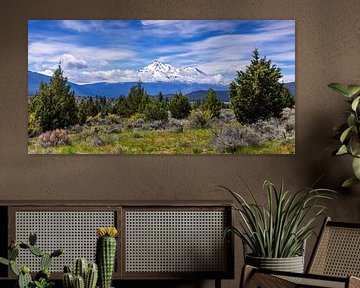 Zicht op Mount Shasta, Verenigde Staten van Adelheid Smitt