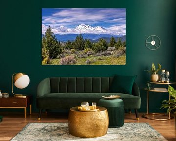 Mount Shasta in het voorjaar, Verenigde Staten van Adelheid Smitt