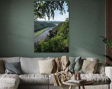 Bomen omlijsten het uitzicht op de Elbe van Adriana Müller