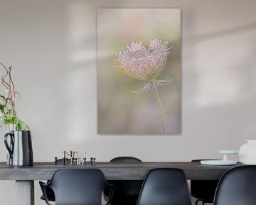 wilde peen in roze en groene tinten van Lilian Photography