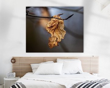 Verwelktes Blatt Zweig | Makrofotografie