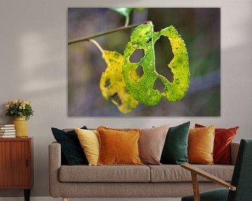 Gelochtes Blatt am Baum | Makrofotografie