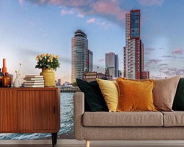 Rotterdam skyline behind boulders by Prachtig Rotterdam