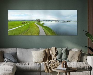 IJssel met een oge waterstand in de uiterwaarden van Sjoerd van der Wal Fotografie