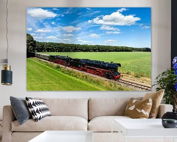 Stoomtrein rijdt op het platteland
